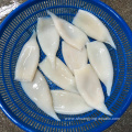 Frozen Pacific Squid Tube U10 Iqf For Importer
